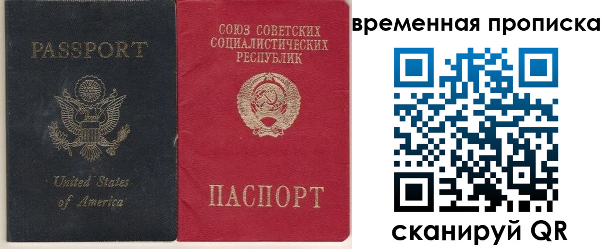 прописка для школы в Сасово